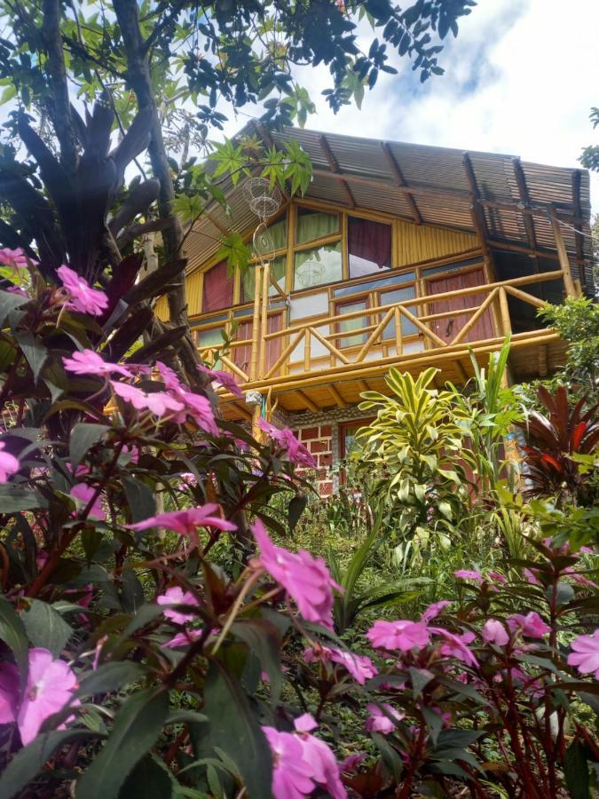 Eco Hotel Manu Viajeros San Agustín 外观 照片