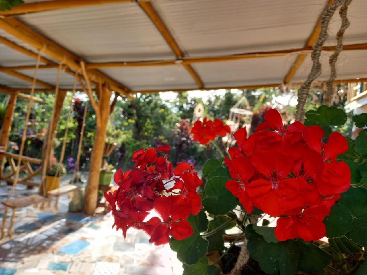 Eco Hotel Manu Viajeros San Agustín 外观 照片