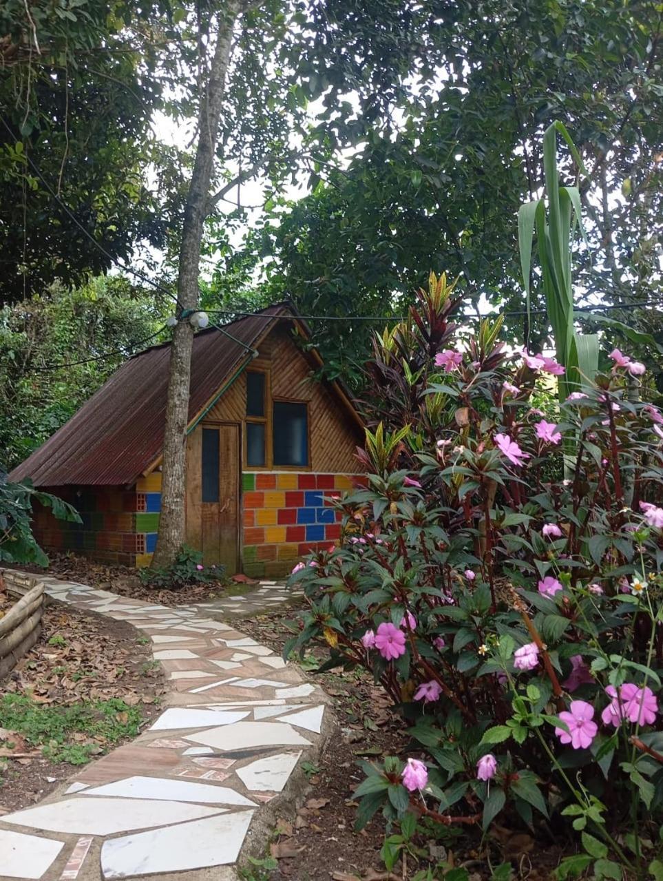 Eco Hotel Manu Viajeros San Agustín 外观 照片