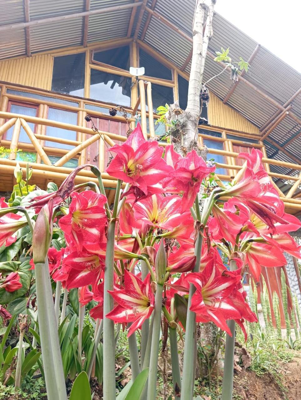 Eco Hotel Manu Viajeros San Agustín 外观 照片